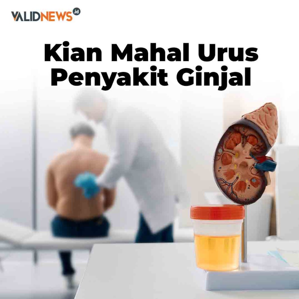 Kian Mahal Urus Penyakit Ginjal