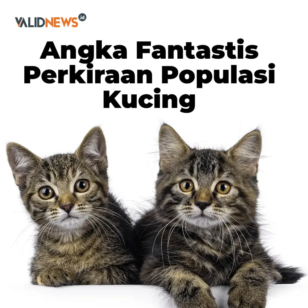 Angka Fantastis Perkiraan Populasi Kucing