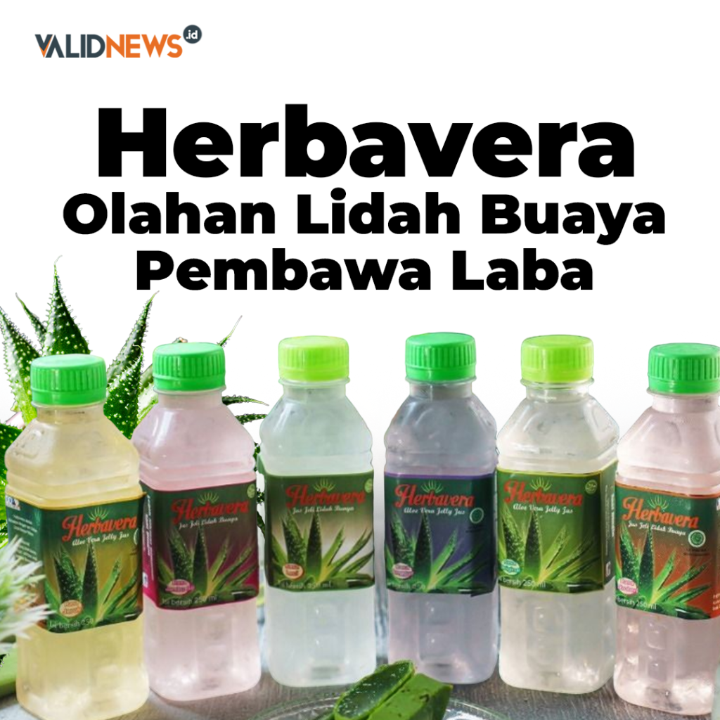 Herbavera, Olahan Lidah Buaya Pembawa Laba