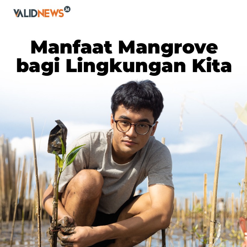 Manfaat Mangrove bagi Lingkungan Kita
