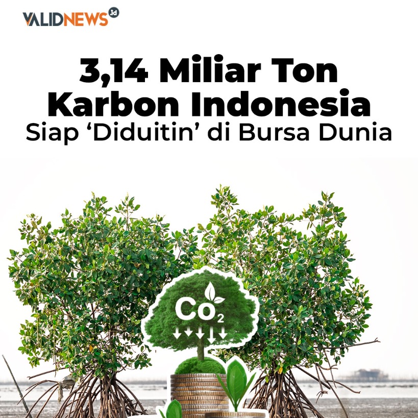 3,14 Miliar Ton Karbon Indonesia Siap ‘Diduitin’