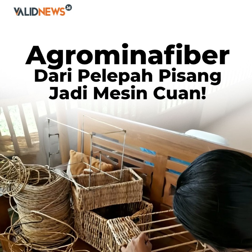 Agrominafiber Dari Pelepah Pisang Jadi Mesin Cuan!