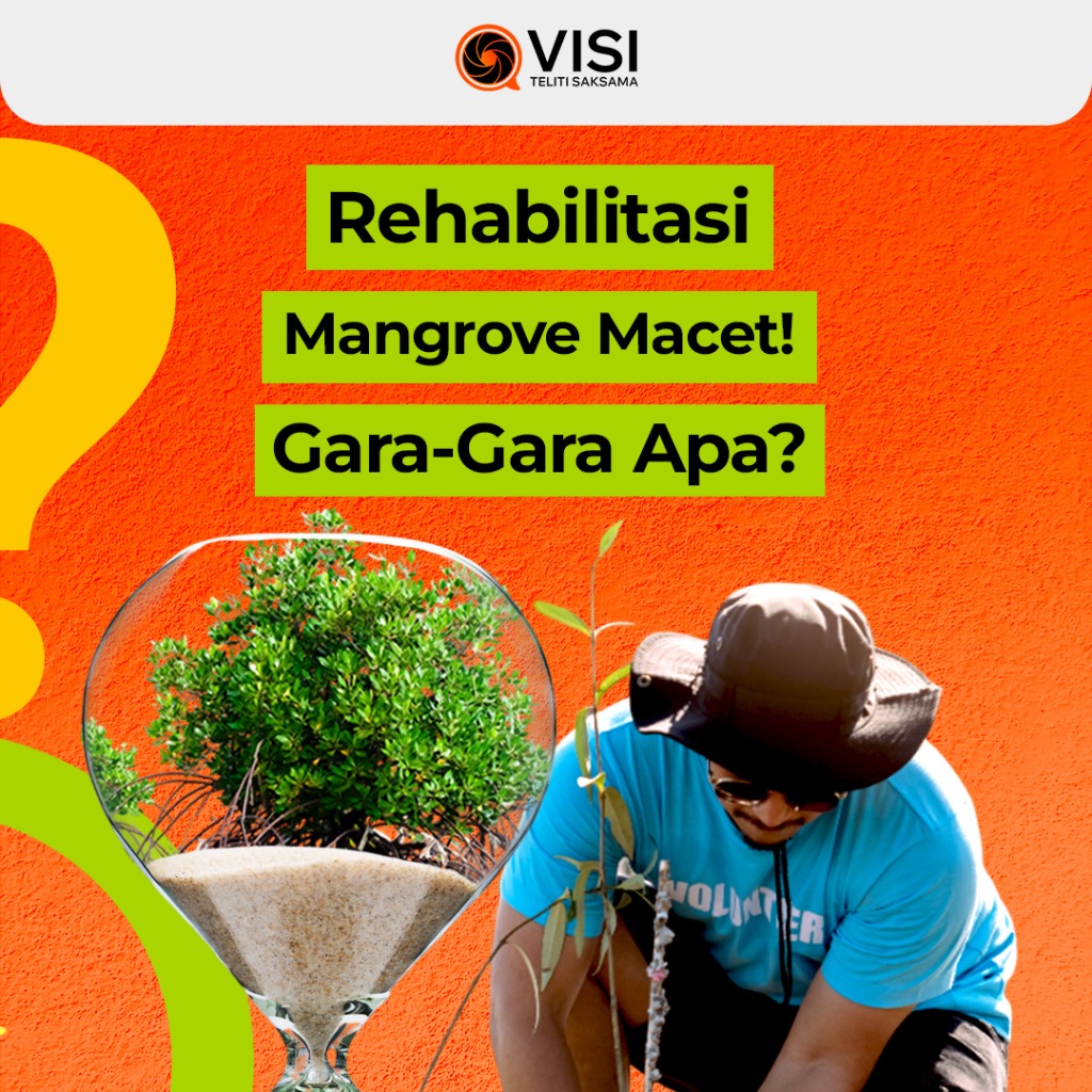 Infografis Rehabilitasi Mangrove Macet!