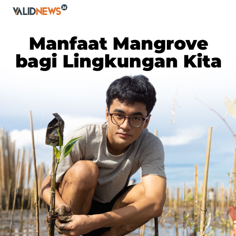 Manfaat Mangrove bagi Lingkungan Kita