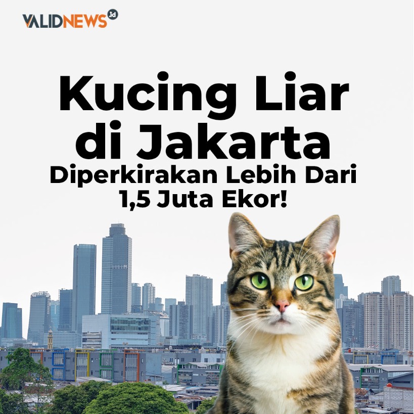Kucing Liar di Jakarta