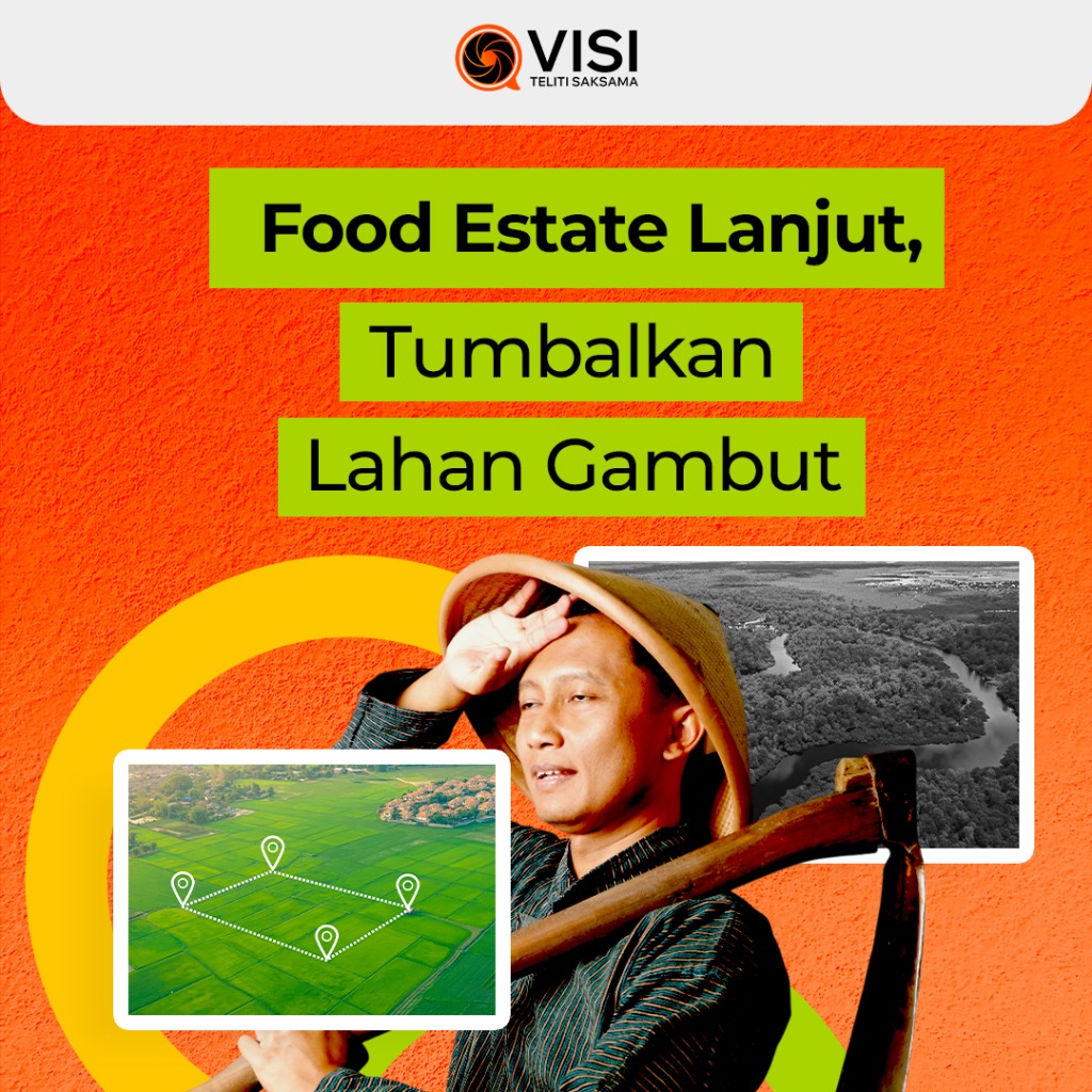 Food Estate Lanjut, Tumbalkan Lahan Gambut