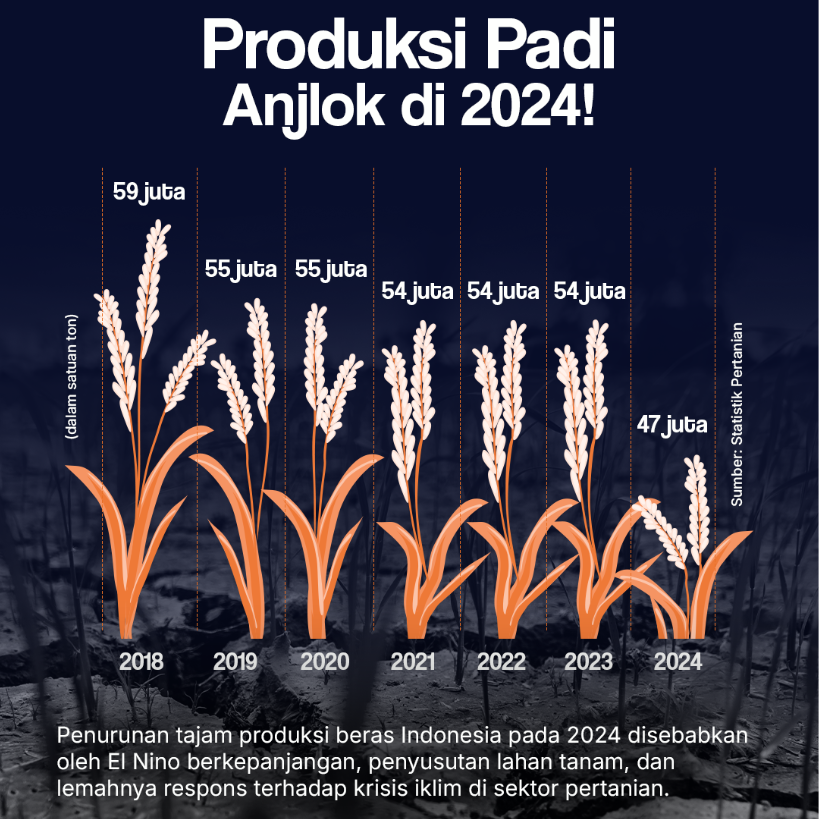 Produksi Padi Anjlok di 2024