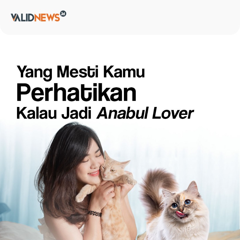 Yang Mesti Kamu Perhatikan Kalau Jadi Anabul Lover