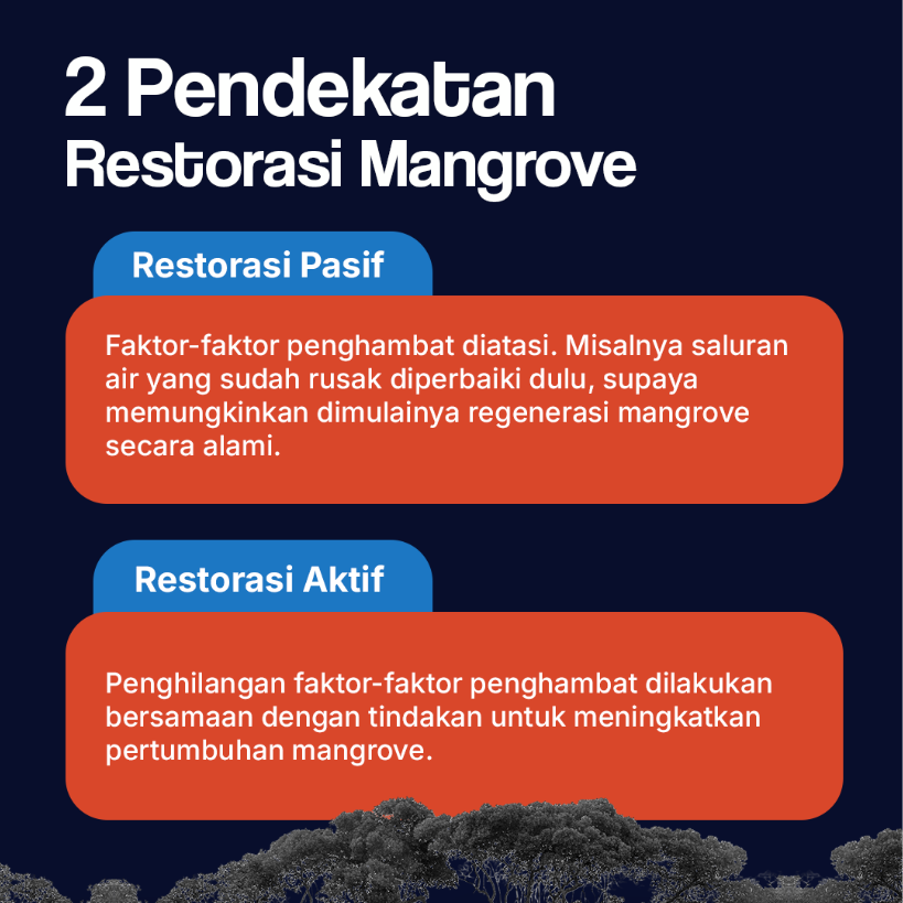 2 Pendekatan Restorasi Mangrove