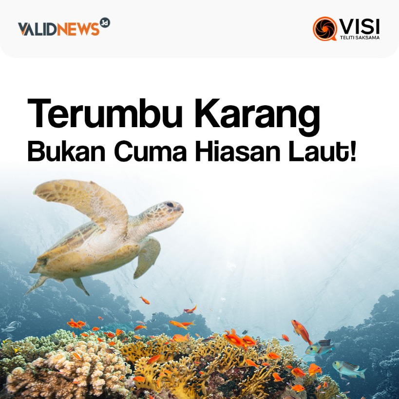 Terumbu Karang Bukan Cuma Hiasan Laut!