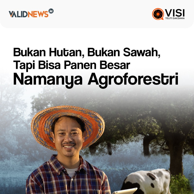 Bisa Panen Besar Namanya Agroforestri